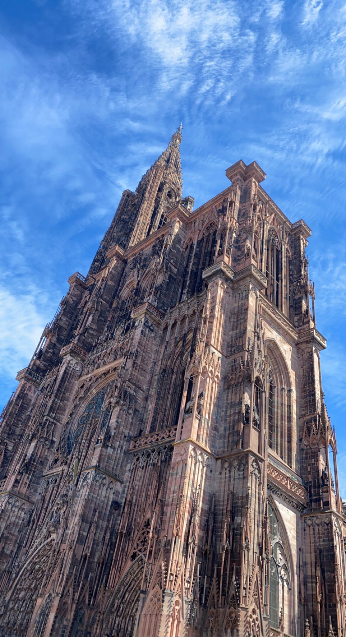  Münster in Straßburg 